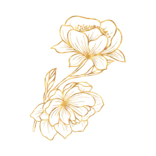 logo web (512 x 512 px) (512 x 310 px) - 2025-12-02T103910.039